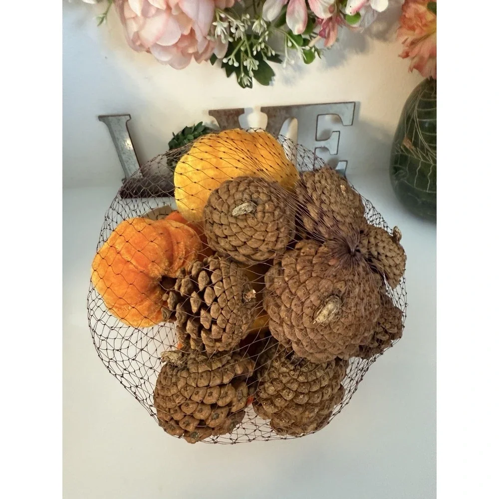 Fall 16 Pcs Velvet Pumpkin and Pinecones Net Bag Decoration Set Assort Sizes New